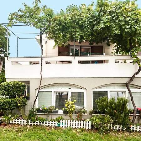 בית הארחה And Bonefacic