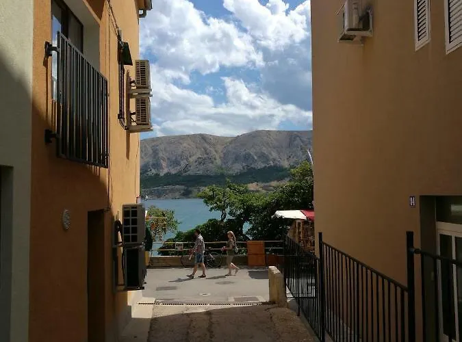 招待所 And Bonefacic