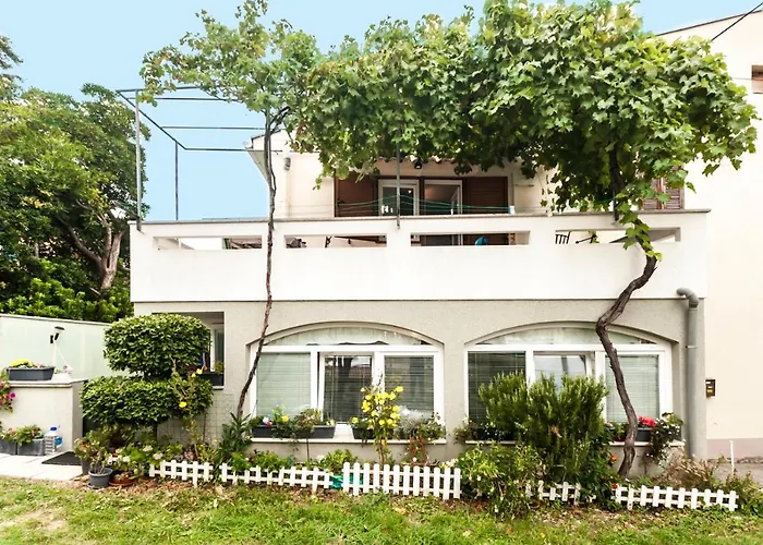 Πανσιόν And Bonefacic